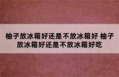 柚子放冰箱好还是不放冰箱好 柚子放冰箱好还是不放冰箱好吃